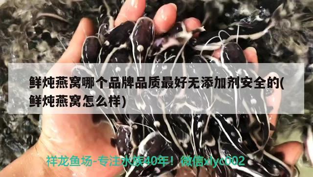 鲜炖燕窝哪个品牌品质最好无添加剂安全的(鲜炖燕窝怎么样) 马来西亚燕窝