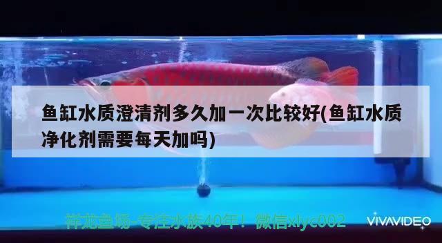 李沧区华东顺水族店