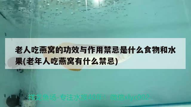 老人吃燕窝的功效与作用禁忌是什么食物和水果(老年人吃燕窝有什么禁忌) 马来西亚燕窝