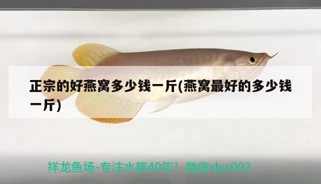 宝石成长12个月 充氧泵 第3张