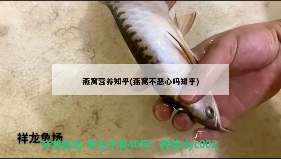 包含北京鱼缸清理北京清江水族热线的词条