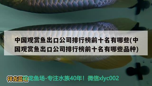 中国观赏鱼出口公司排行榜前十名有哪些(中国观赏鱼出口公司排行榜前十名有哪些品种) 观赏鱼进出口