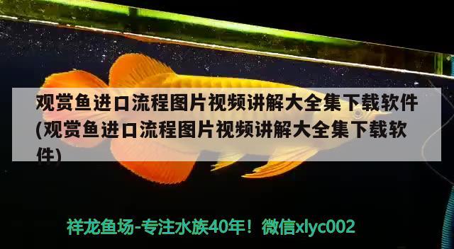 观赏鱼进口流程图片视频讲解大全集下载软件(观赏鱼进口流程图片视频讲解大全集下载软件) 观赏鱼进出口