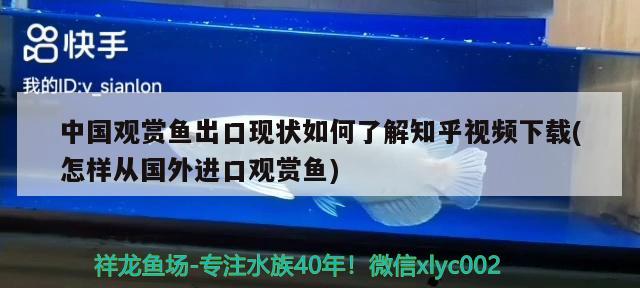 中国观赏鱼出口现状如何了解知乎视频下载(怎样从国外进口观赏鱼)