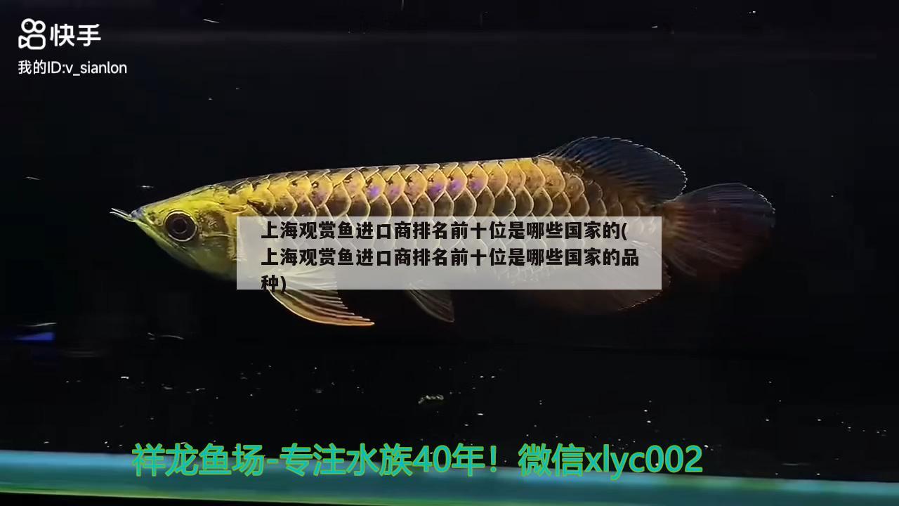上海观赏鱼进口商排名前十位是哪些国家的(上海观赏鱼进口商排名前十位是哪些国家的品种) 观赏鱼进出口