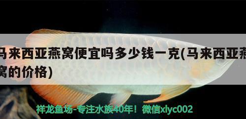 马来西亚燕窝便宜吗多少钱一克(马来西亚燕窝的价格)