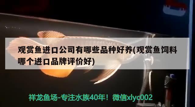 鱼缸的配件怎么安装：鱼缸的配件怎么安装的 广州水族批发市场 第1张