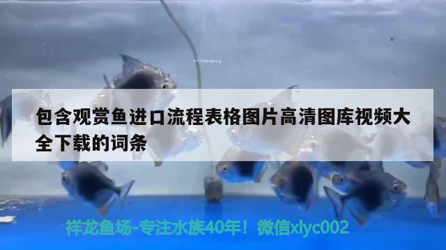 鱼缸氧气泵一天开多长时间好（养鱼缸氧气泵图片看看） 充氧泵 第2张