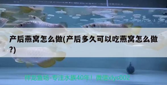 鱼缸氧气泵一天开多长时间好（养鱼缸氧气泵图片看看）