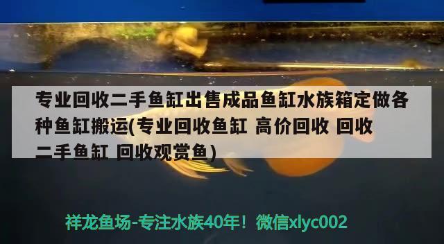 专业回收二手鱼缸出售成品鱼缸水族箱定做各种鱼缸搬运(专业回收鱼缸高价回收回收二手鱼缸回收观赏鱼)