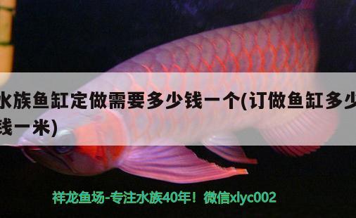 水族鱼缸定做需要多少钱一个(订做鱼缸多少钱一米)