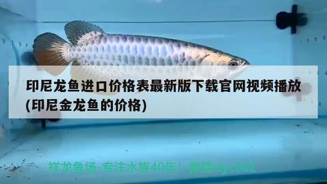 广州观赏鱼批发市场进货渠道有哪些地方：广州市观赏鱼批发市场有几个