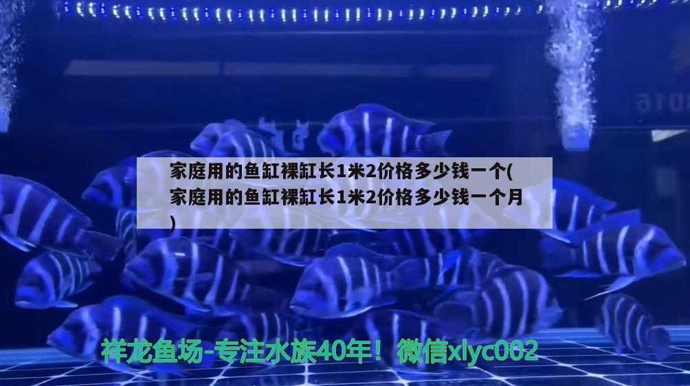 家庭用的鱼缸裸缸长1米2价格多少钱一个(家庭用的鱼缸裸缸长1米2价格多少钱一个月) 黄金猫鱼