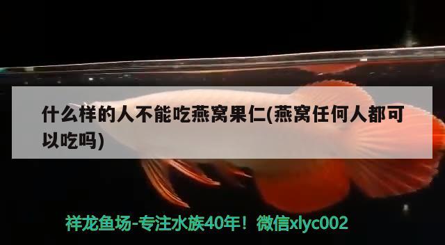 什么样的人不能吃燕窝果仁(燕窝任何人都可以吃吗) 马来西亚燕窝