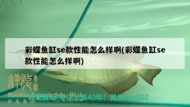 彩蝶鱼缸se款性能怎么样啊(彩蝶鱼缸se款性能怎么样啊)