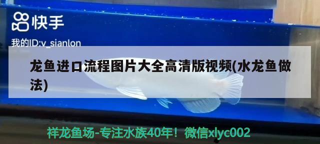 宿州水族批发市场地址电话号码(宿州水产批发市场在哪) 观赏鱼水族批发市场 第1张