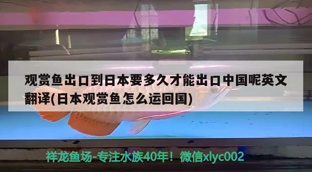 观赏鱼出口到日本要多久才能出口中国呢英文翻译(日本观赏鱼怎么运回国) 观赏鱼进出口