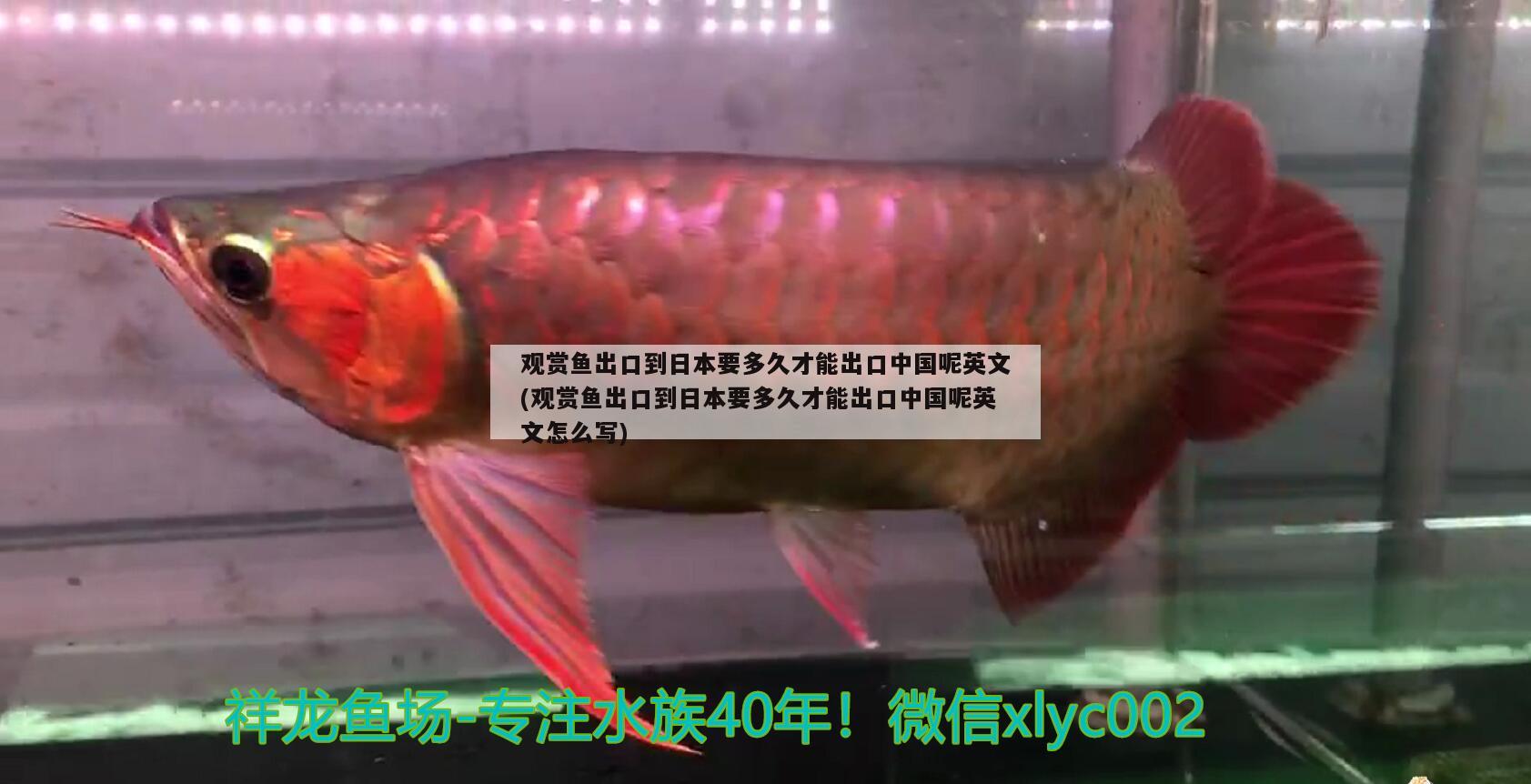 广州哥冰贸易店 全国水族馆企业名录 第2张