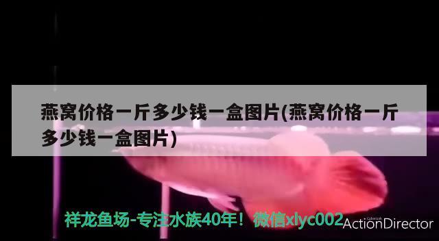 燕窝价格一斤多少钱一盒图片(燕窝价格一斤多少钱一盒图片) 马来西亚燕窝