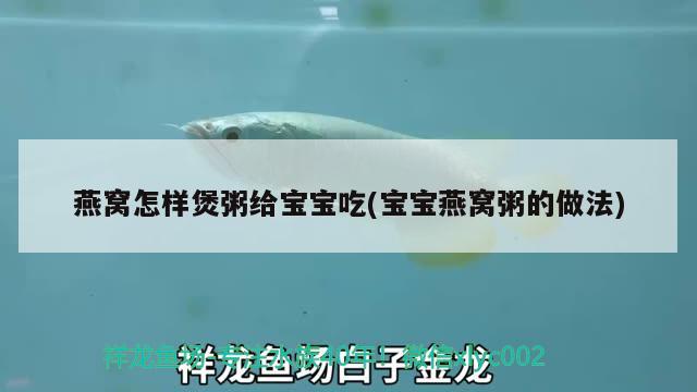 燕窝怎样煲粥给宝宝吃(宝宝燕窝粥的做法) 马来西亚燕窝