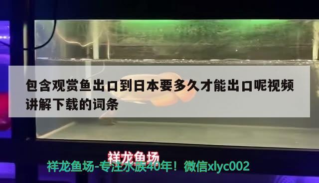 包含观赏鱼出口到日本要多久才能出口呢视频讲解下载的词条 观赏鱼进出口