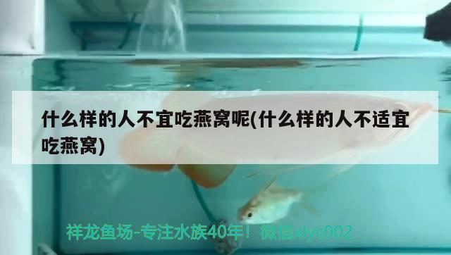 什么样的人不宜吃燕窝呢(什么样的人不适宜吃燕窝) 马来西亚燕窝 第2张