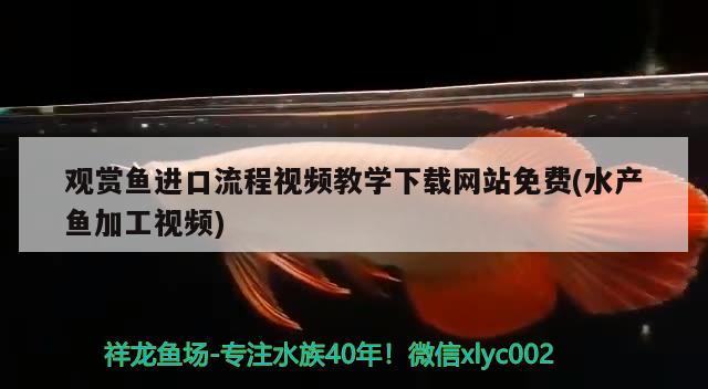 观赏鱼进口流程视频教学下载网站免费(水产鱼加工视频) 观赏鱼进出口