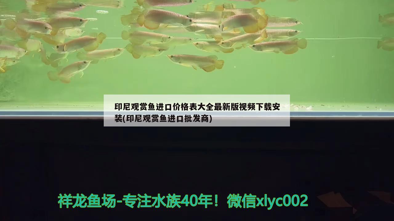 印尼观赏鱼进口价格表大全最新版视频下载安装(印尼观赏鱼进口批发商) 观赏鱼进出口