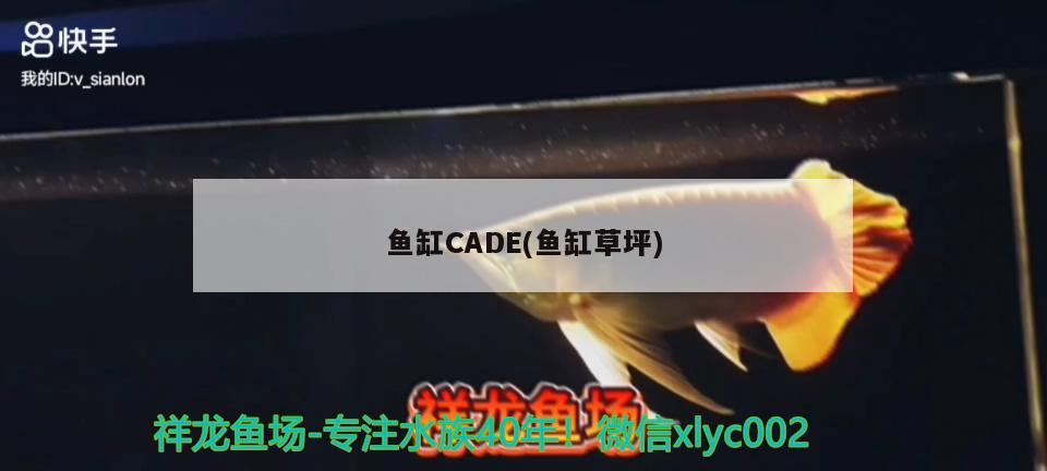 鱼缸CADE(鱼缸草坪)