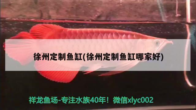 徐州定制鱼缸(徐州定制鱼缸哪家好)