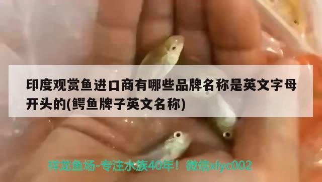 印度观赏鱼进口商有哪些品牌名称是英文字母开头的(鳄鱼牌子英文名称) 观赏鱼进出口