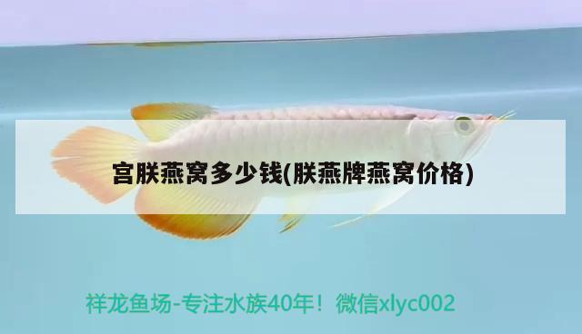 来宾水族批发市场在哪里有卖的（北方人对广西有哪些误解） 猫猫 第1张