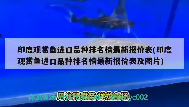 印度观赏鱼进口品种排名榜最新报价表(印度观赏鱼进口品种排名榜最新报价表及图片) 观赏鱼进出口