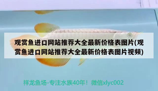 观赏鱼进口网站推荐大全最新价格表图片(观赏鱼进口网站推荐大全最新价格表图片视频) 观赏鱼进出口