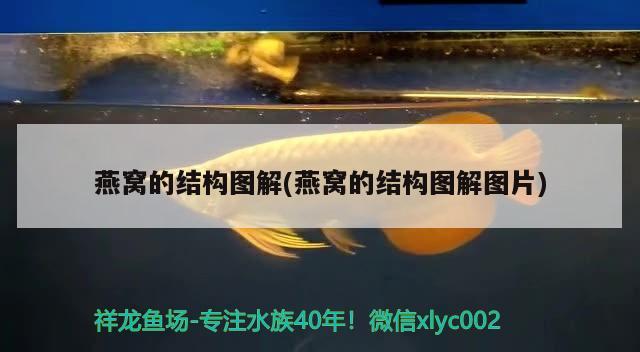 阳江水族箱怎么用滤材？，阳江水族器材怎么用？ 鱼缸/水族箱 第3张