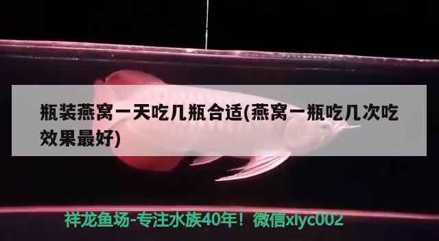 瓶装燕窝一天吃几瓶合适(燕窝一瓶吃几次吃效果最好) 马来西亚燕窝