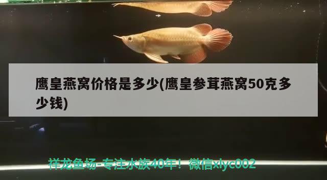 鹰皇燕窝价格是多少(鹰皇参茸燕窝50克多少钱) 马来西亚燕窝