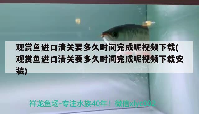 观赏鱼进口清关要多久时间完成呢视频下载(观赏鱼进口清关要多久时间完成呢视频下载安装) 观赏鱼进出口