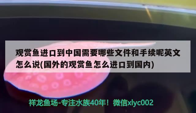 观赏鱼进口到中国需要哪些文件和手续呢英文怎么说(国外的观赏鱼怎么进口到国内)