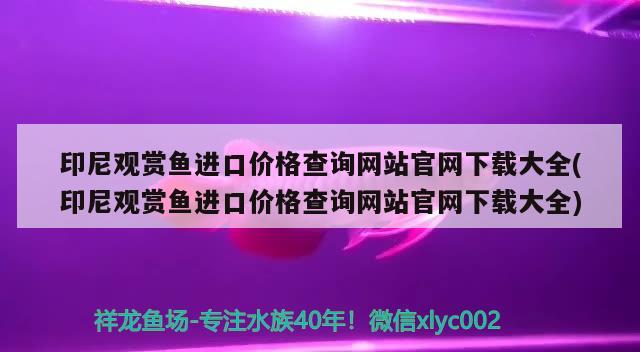 印尼观赏鱼进口价格查询网站官网下载大全(印尼观赏鱼进口价格查询网站官网下载大全)