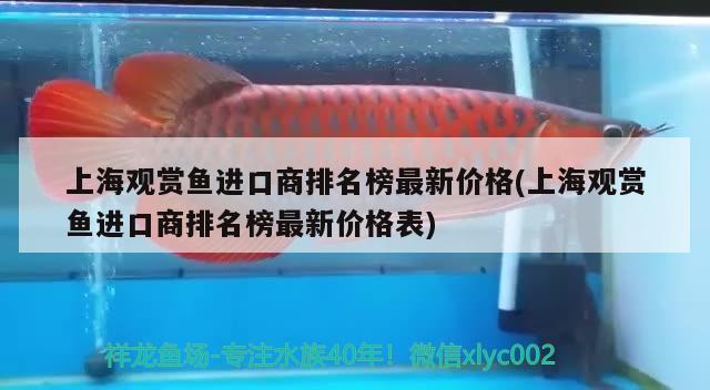 上海观赏鱼进口商排名榜最新价格(上海观赏鱼进口商排名榜最新价格表) 观赏鱼进出口 第1张