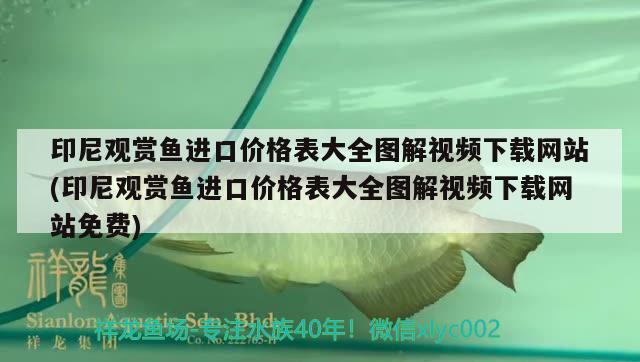 印尼观赏鱼进口价格表大全图解视频下载网站(印尼观赏鱼进口价格表大全图解视频下载网站免费)