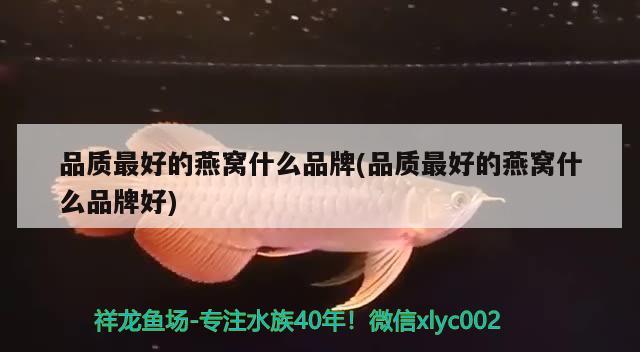 水透的感觉真好跟没水一样 广州观赏鱼批发市场 第3张