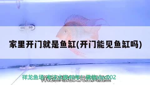 大型鱼缸漏水修补方法视频  海象鱼 第2张