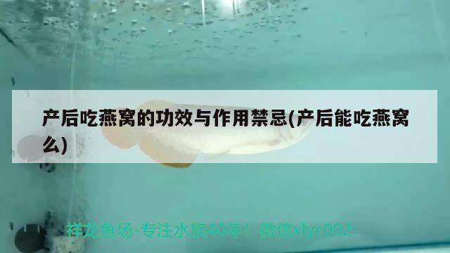 产后吃燕窝的功效与作用禁忌(产后能吃燕窝么) 马来西亚燕窝