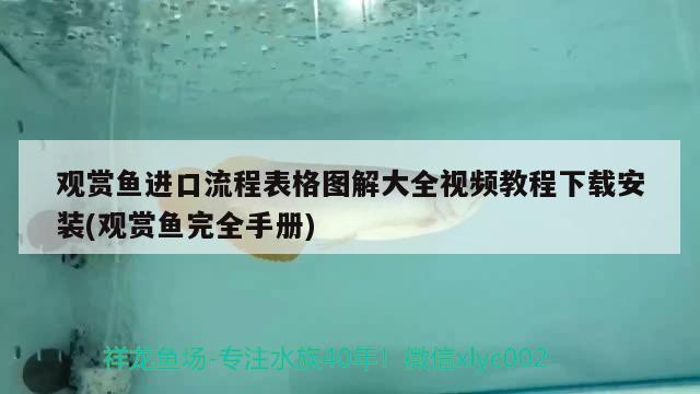 观赏鱼进口流程表格图解大全视频教程下载安装(观赏鱼完全手册) 观赏鱼进出口