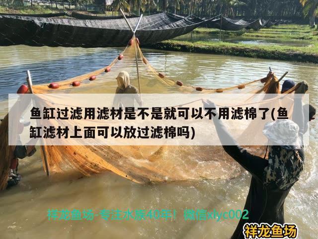 鱼缸过滤用滤材是不是就可以不用滤棉了(鱼缸滤材上面可以放过滤棉吗) 飞凤鱼