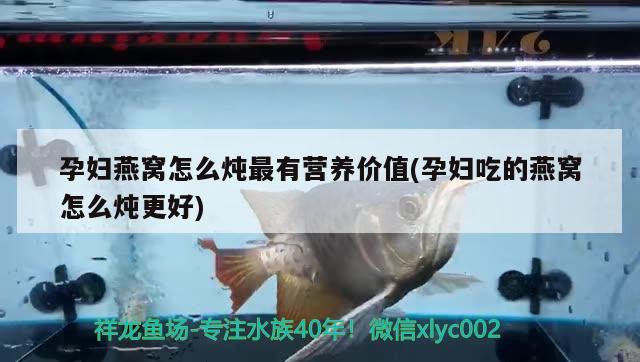 孕妇燕窝怎么炖最有营养价值(孕妇吃的燕窝怎么炖更好) 马来西亚燕窝