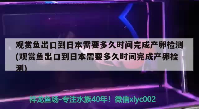 观赏鱼出口到日本需要多久时间完成产卵检测(观赏鱼出口到日本需要多久时间完成产卵检测) 观赏鱼进出口