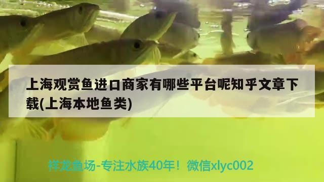 上海观赏鱼进口商家有哪些平台呢知乎文章下载(上海本地鱼类) 观赏鱼进出口